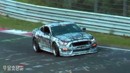 2016 Ford Mustang GT350 Spotted Testing