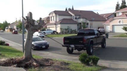 Big Tree STUMP vs HUGE Diesel Truck!