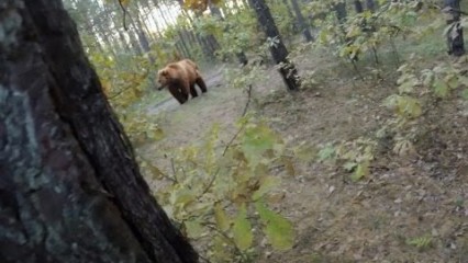 Guy On A Bike Desperately Run’s From A GIANT Bear