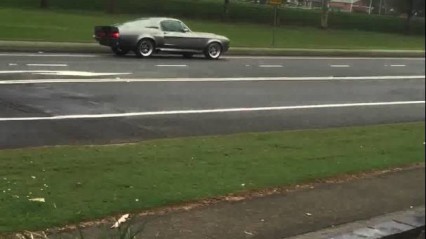 Guy Tries To Get Eleanor Loose In The Rain – Fails Miserably!