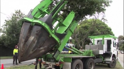 How to Uproot a Tree Like a Boss – CRAZY Machinery!