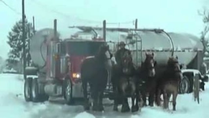 RAW HORSEPOWER (Literally) – Horses Pull Out Semi Truck Stuck In Snow Bank