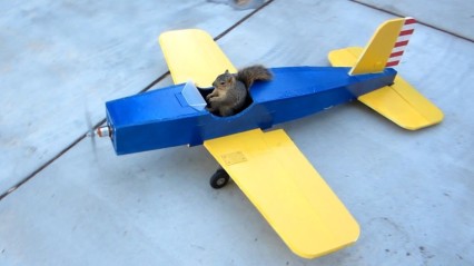 SQUIRREL STEALS AN AIRPLANE! Is This Even Possible?