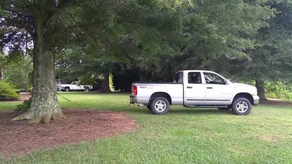 Truck vs. Tree – Can This Dodge Get The Job Done?