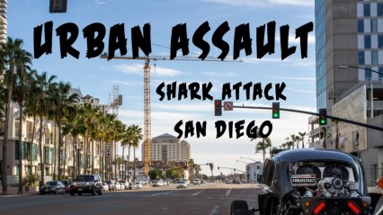 URBAN ASSAULT: San Diego Shark Attack