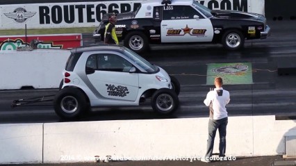 Wheel Standing Smart Car vs Cop Car