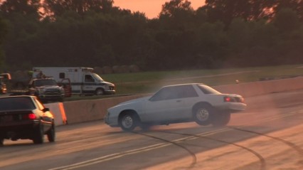 WILD One Eyed Mustang Gets LOOSE & WRECKS