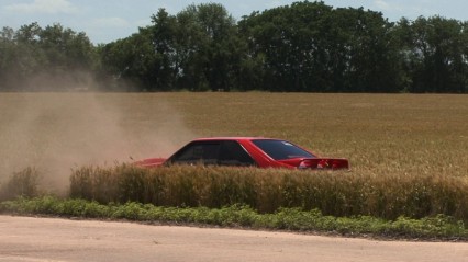 WILD MUSTANG Bolts For WHEAT FIELD – Eat Sleep Street – Controlled Chaos