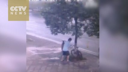 Surveillance Camera Captures Man Chopping Down Tree to Steal Bike