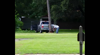 Tree Falls on Truck – Lumberjack FAIL