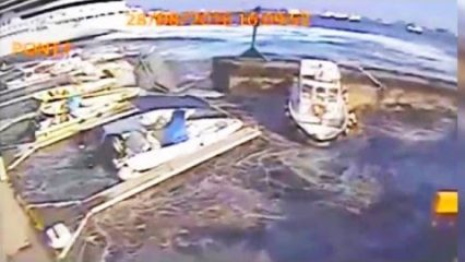 Carnival cruise ship’s wake destroys docks sending boats everywhere