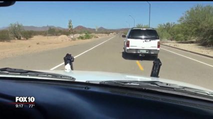 Arizona man invents device to stop high-speed pursuit suspects