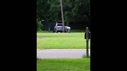 Insurance fraud? Man cuts down tree and it lands on his truck perfectly