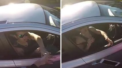 Biker Chases Car and Smashes Driver’s Phone after Good Deed Goes Wrong