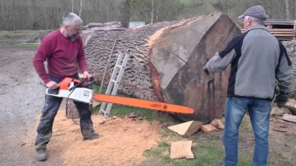 Extremely Powerful MS 880 Magnum Chainsaw Dominates an Enormous Oak Log
