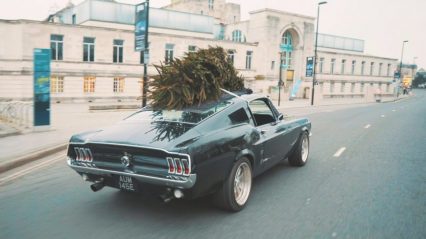 This is How Car Guys Pick Up a Christmas Tree