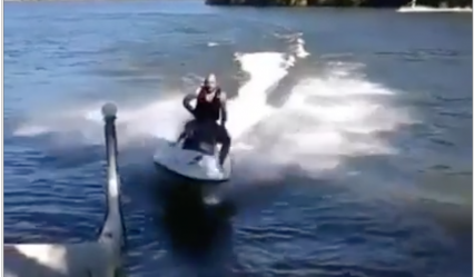 Guy Tries to beach Jet Ski and Comes In Way Too Hot