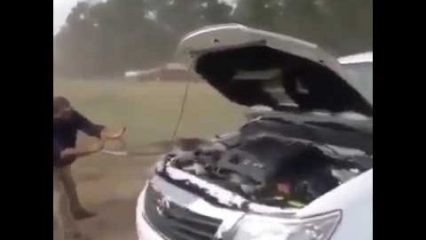 Guy Finds Gigantic Python in his Engine Bay