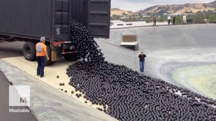 LA throws 96 million ‘shade balls’ at its water shortage