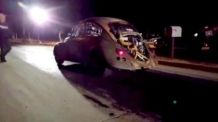 The Dung Beetle Pulls a Wheelie on the Street! No Burnout!