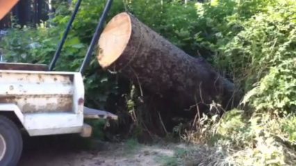 Lewis Winch lifts massive log into truck, most POWERFUL portable winch ever!!