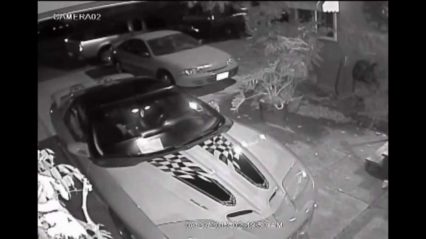 Security Camera Catches Brazen Thieves Stealing Trans Am WS6