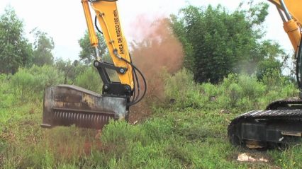 This Excavator Can Tear a Tree Down in Seconds… Forestry Mulcher