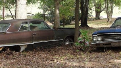 63 Impala 2 Door and a 66 Malibu found in the woods
