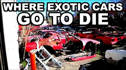 Ferrari Graveyard – Where Exotics Go To Die