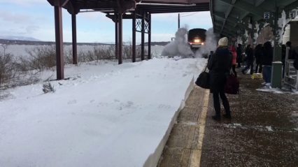 Girl Gets Blasted By Ice Chunks as Train Goes Through Snow Covered Station! Why Didn’t She Move?