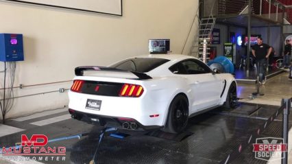 Loud Mustang GT350R Hits The Dyno at Speed Society HQ