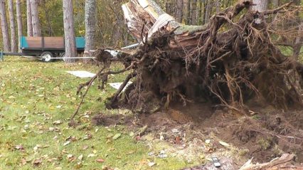 pulling a stump with a high mechanical advantage rigging system