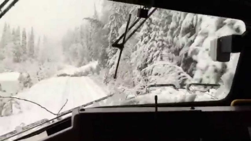 Train Hillariously Plows Through Trees After Huge Snow Storm!