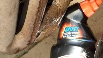 Ever Clean Your Rusty Exhaust Headers With Bleach?