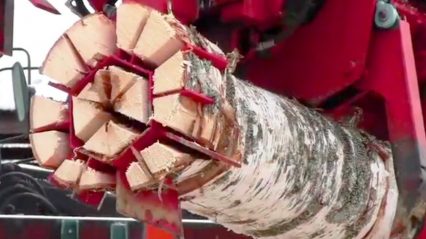 Extreme Wood Cutting Machine – Firewood Processing Machine in Action
