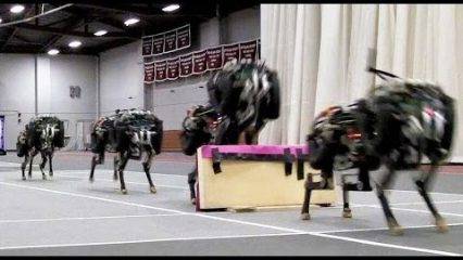 This MIT Cheetah Robot Landing a Running Jump is Terrifying