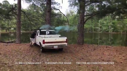 Diesel Truck Baby Gender Reveal Goes Horribly Wrong… Truck is Still in Gear!