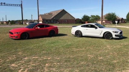 Ford Mustang Baby Gender Reveal Does Not Make Momma Happy