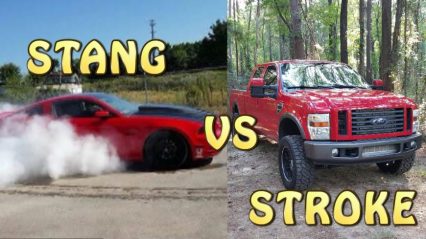 Mustang Owner Gets His Ego Checked Racing a Diesel Truck!