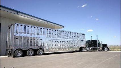 Polishing a HUGE aluminum Cattle trailer! THE BEST SHINE EVER!