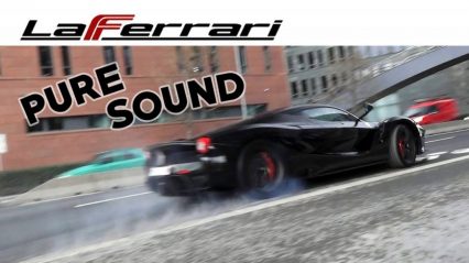 Drive it Like Ya Stole It… LaFerrari Getting Beat On Just Like it Should Be!