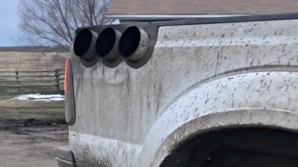 These Diesel Trucks Will Slay Your Prius!