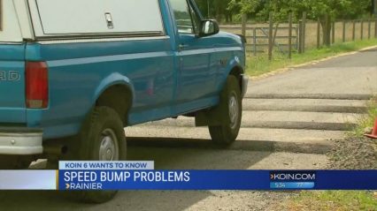 ‘Ridiculous’ Speed Bumps Anger Neighbors… A Car Guy’s Nightmare!