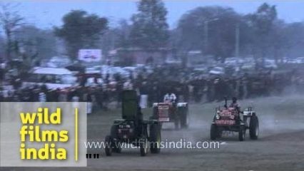 Tractor Drag Racing is a Real Thing! Tractor Racing Competition at Rural Olympics