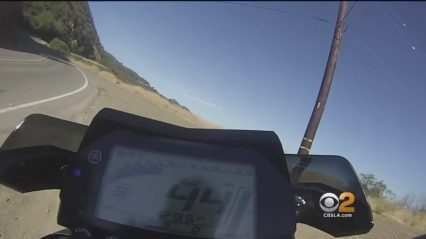 Brave Motorcyclist Flies Off Cliff and Lives To Tell About It