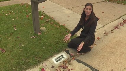 Don’t Fall for the Curb Painting Scam, Police Share Warning about Scammers 🎥