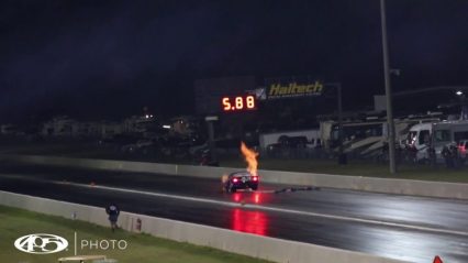 James Goad Tests the Reaper and The Right Lane Bursts into Flames.