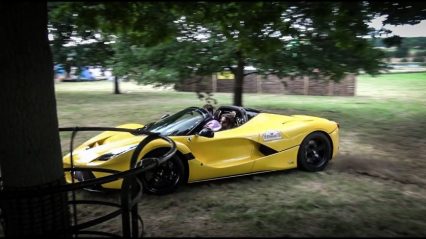 Multi Million Dollar LaFerrari Aperta Does Crazy Donuts in the Grass!