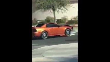 Mustang owner Gone Wild