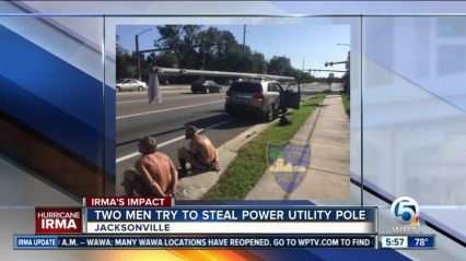 Police Say They Have Busted Hurricane Irma Looters Stealing Utility Pole!